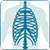 RADIOLOGIA/ECOGRAFIA
